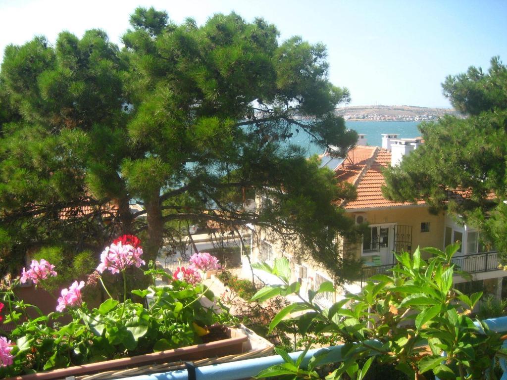 מלון Ayvalı Mavi Pension מראה חיצוני תמונה
