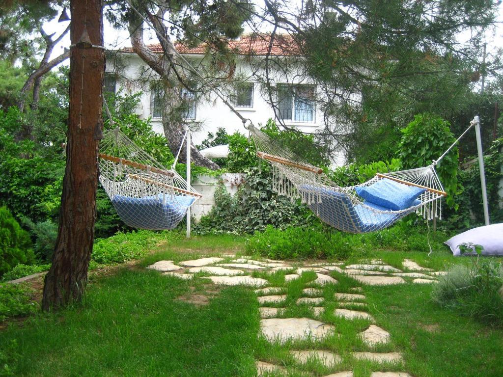מלון Ayvalı Mavi Pension מראה חיצוני תמונה