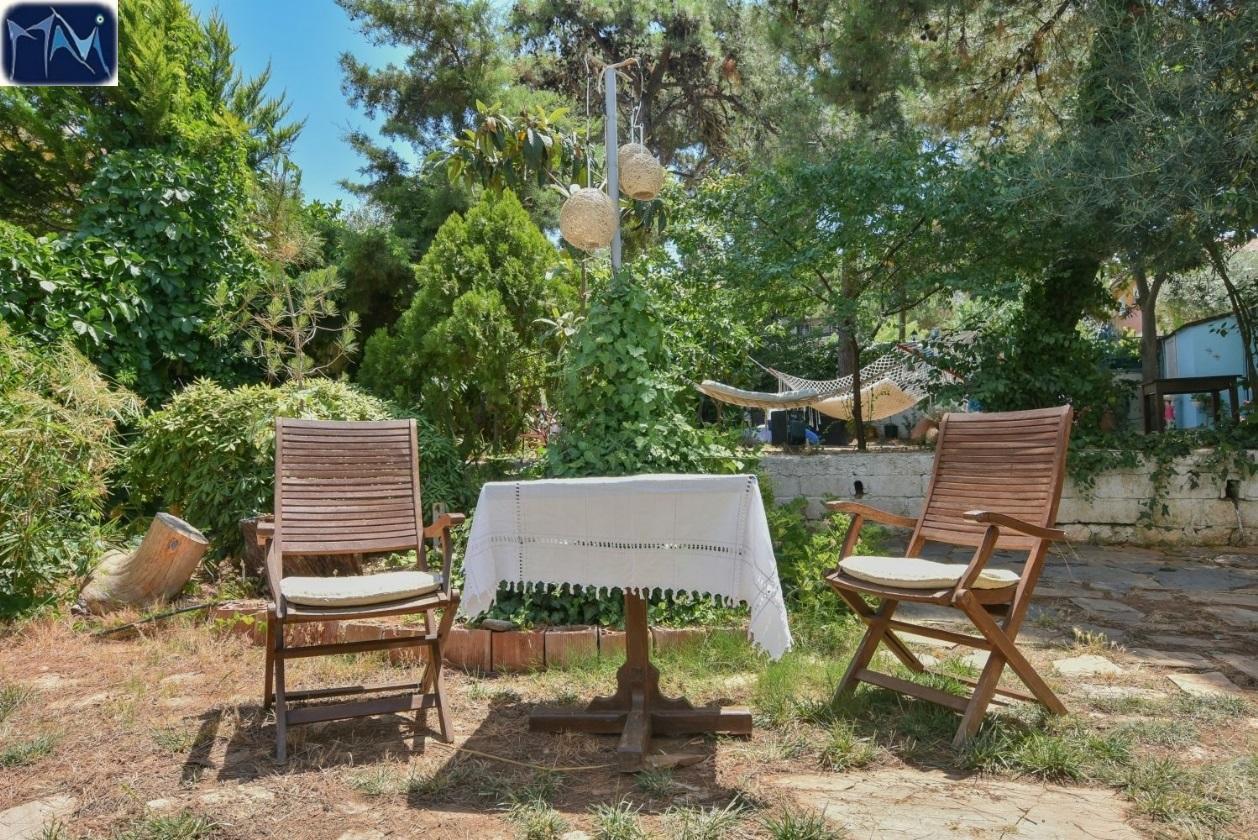 מלון Ayvalı Mavi Pension מראה חיצוני תמונה